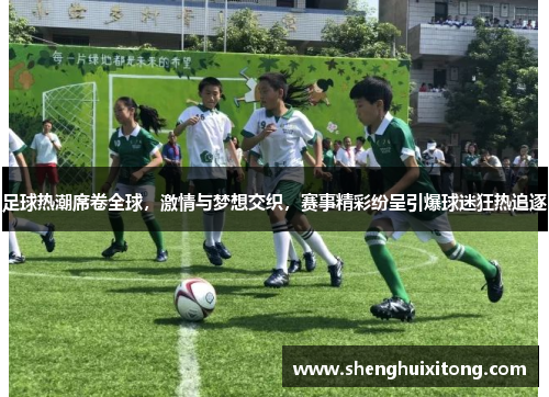 足球热潮席卷全球，激情与梦想交织，赛事精彩纷呈引爆球迷狂热追逐